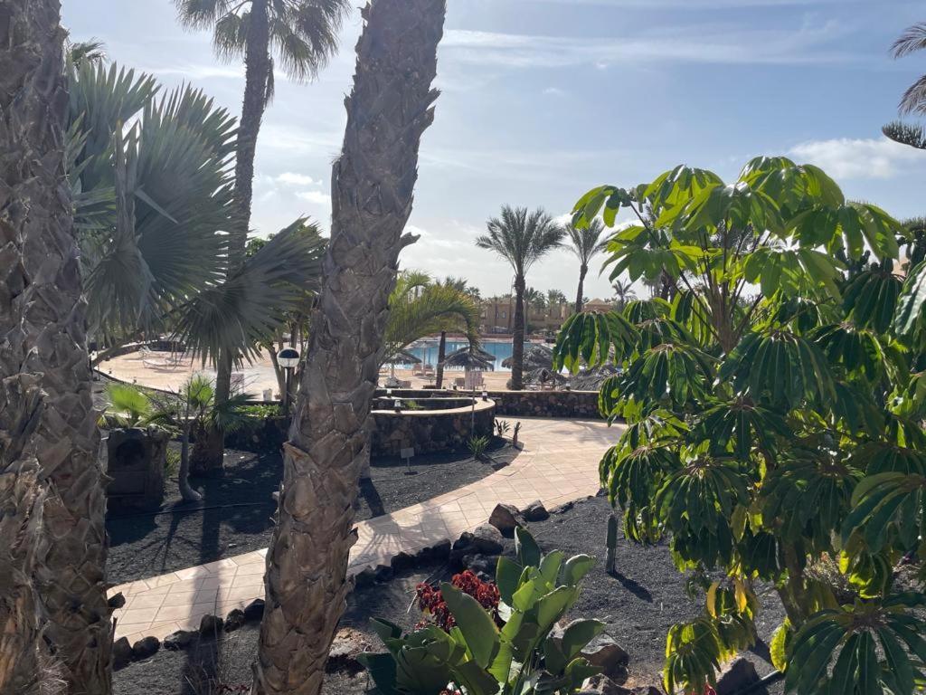 科拉雷侯Casa Mari Y Jose Con Grandes Piscinas Y Wifi Gratis公寓 外观 照片