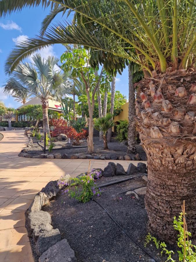 科拉雷侯Casa Mari Y Jose Con Grandes Piscinas Y Wifi Gratis公寓 外观 照片